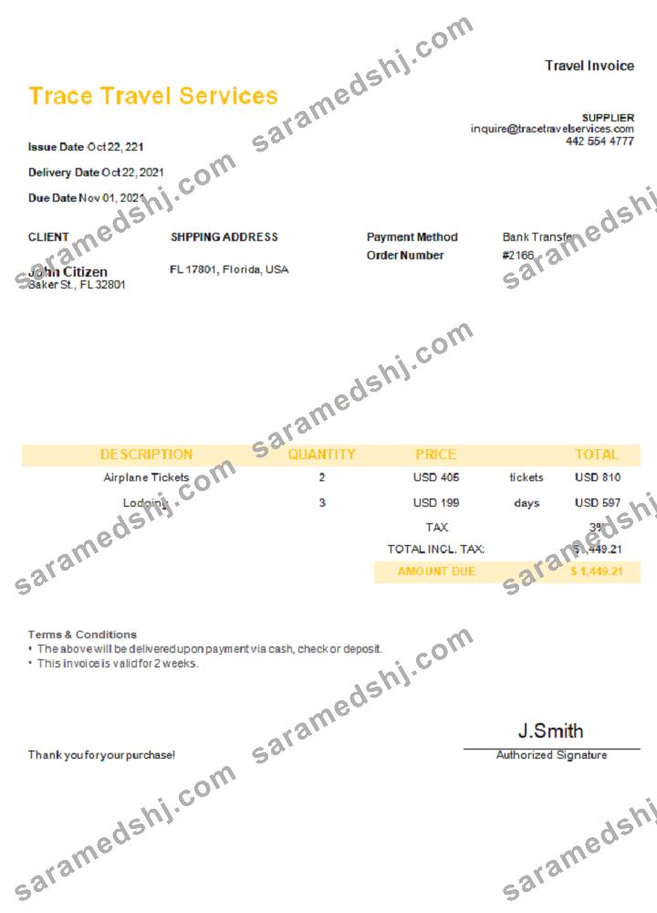 USA Trace Travel Services invoice